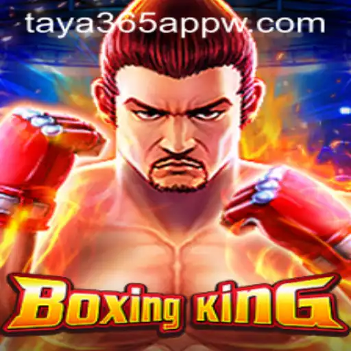 Exploring the Thrilling World of BoxingKing