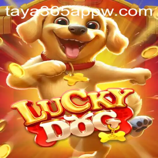 Discover the Exciting World of LuckyDog on the Taya365 App
